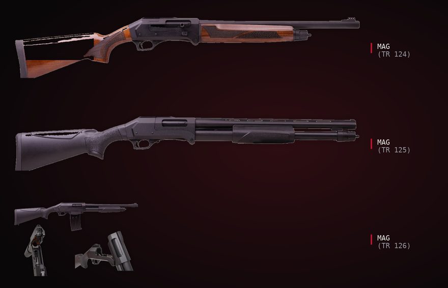 mag_fed variants